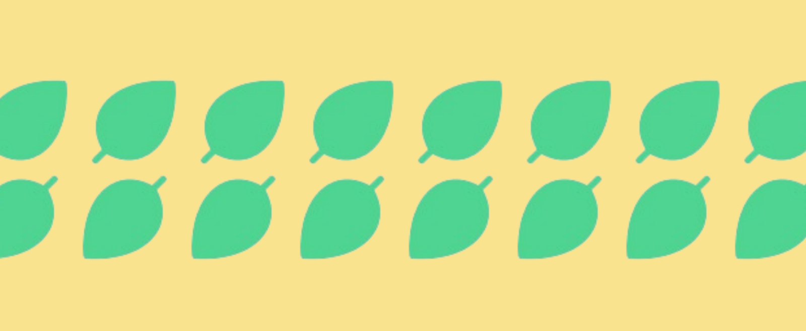 Natural, organic, & co. The ultimate terminology guide