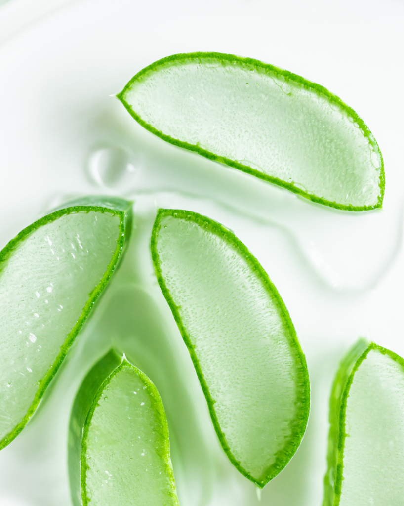 Aloe Barbadensis Leaf Juice