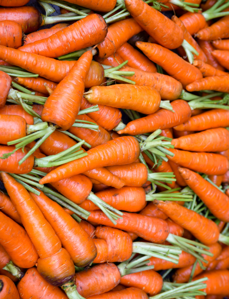 Daucus Carota Sativa Root Extract