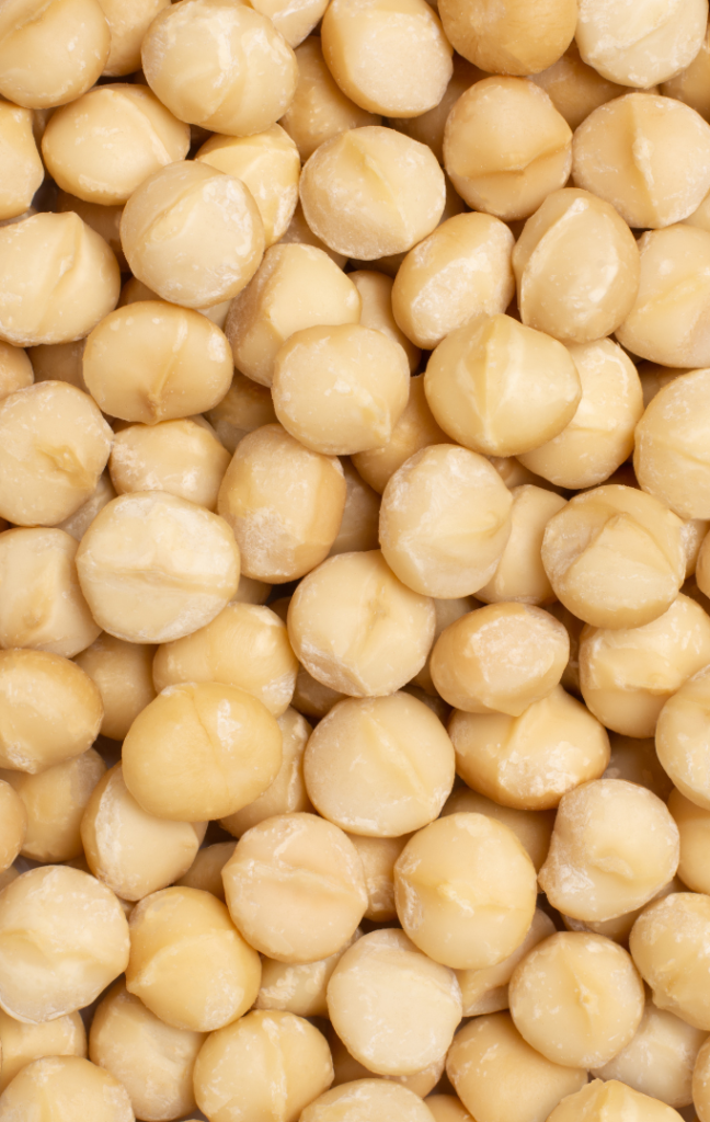 Macadamia Integrifolia Seed Oil