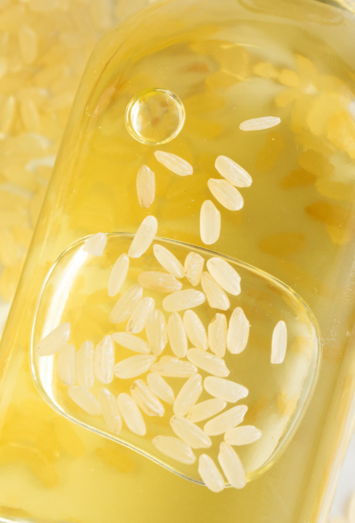 Oryza Sativa Bran Oil