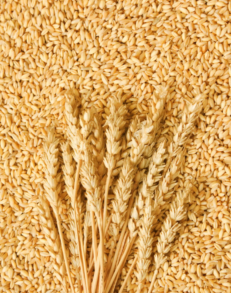 Potassium Palmitoyl Hydrolyzed Wheat Protein